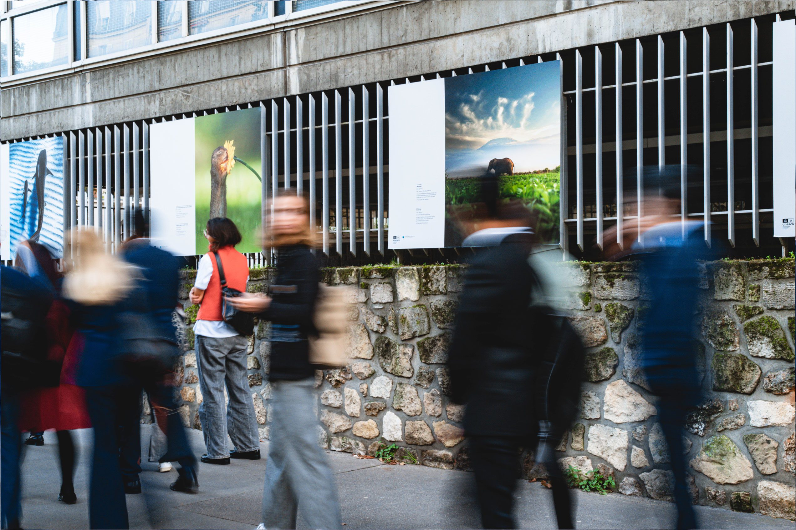 Celebrating biodiversity <br src=