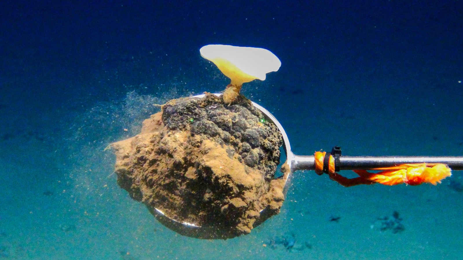 RAISING AWARENESS ON DEEP SEA MINING THROUGH AN INSPIRING DOCUMENTARY