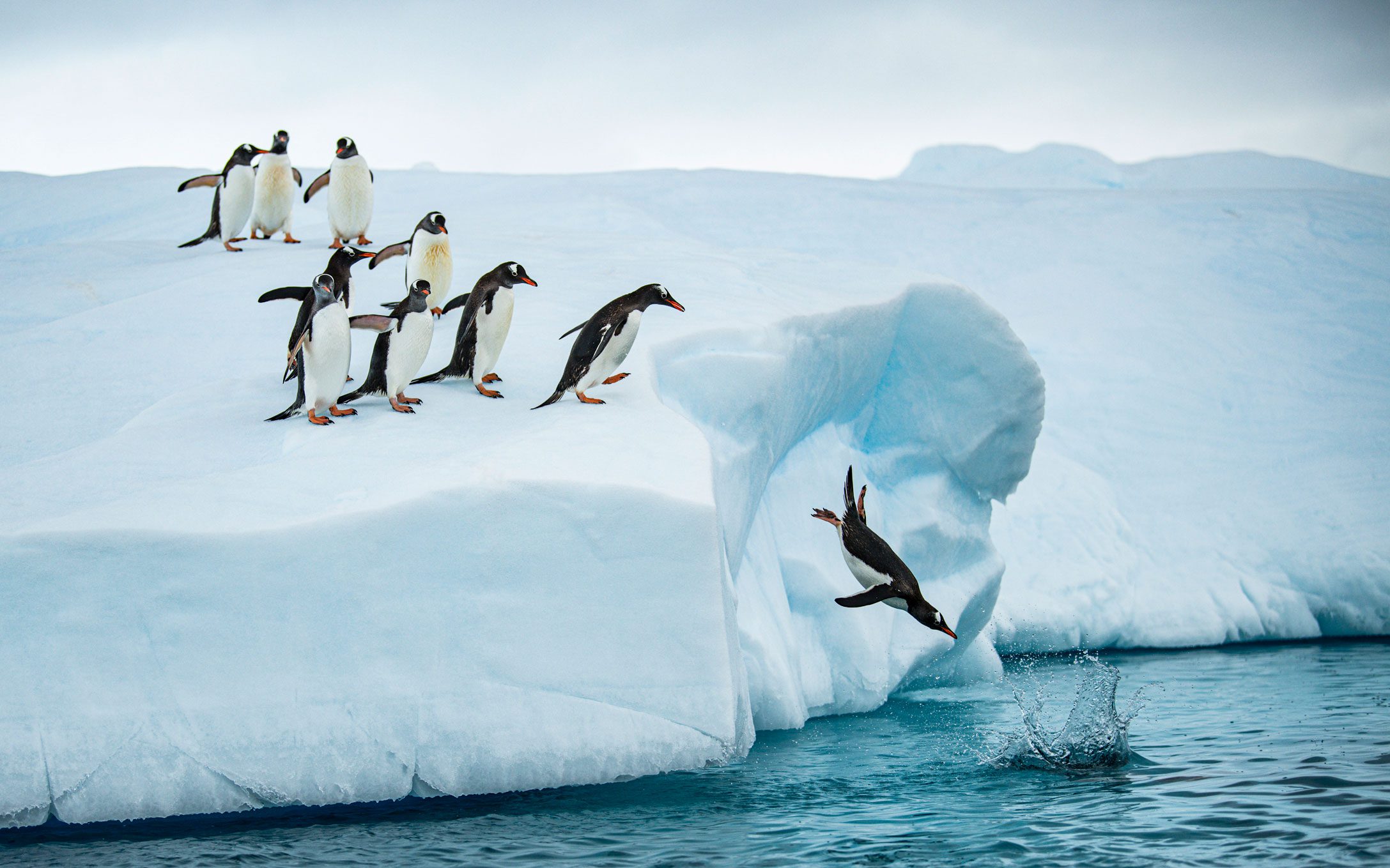 ADVANCING THE CREATION OF HIGHLY AND FULLY PROTECTED MARINE PROTECTED AREAS